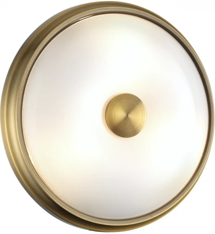 Настенно-потолочный светильник Odeon Light Pelow 4956/2 (220V, круглые)