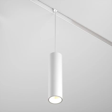 Трековый подвесной светильник Focus Led Exility 3000-6000K 12Вт 36° Dim Smart (магнитный) Maytoni Technical TR041-4-12W3K-M-DS-W (48V, круглые)