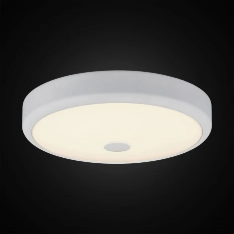 Настенно-потолочный светильник Citilux Фостер-1 CL706130