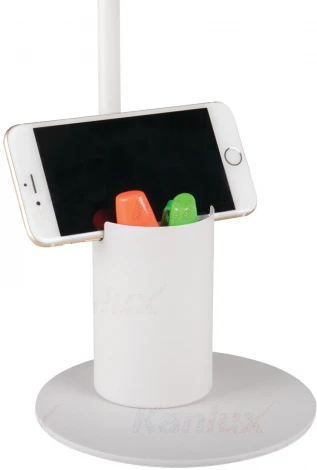 Офисная настольная лампа Kanlux RAIBO 36281 (220V, выключатель)