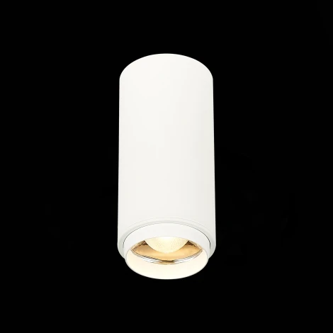 Накладной точечный светильник ST Luce Zoom ST600.532.10 (LED, 220V, круглые)