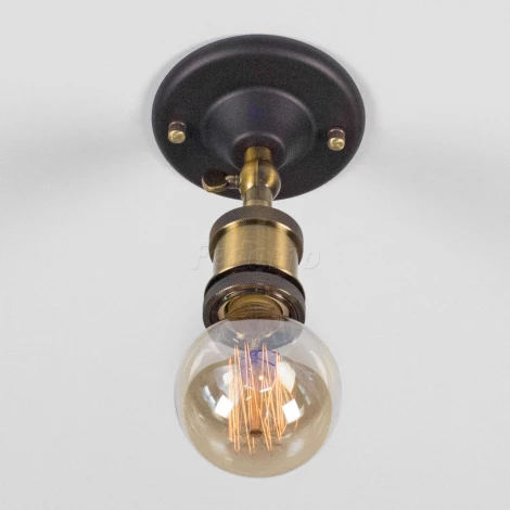 Потолочный светильник круглый Citilux Эдисон CL450500 (220V)