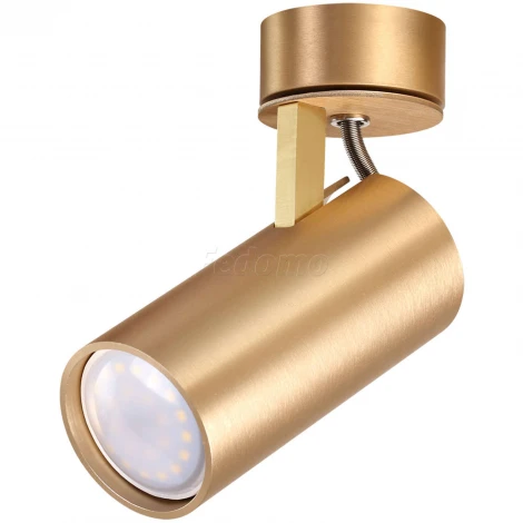 Спот Odeon Light Corse 3876/1C (220V, круглые)