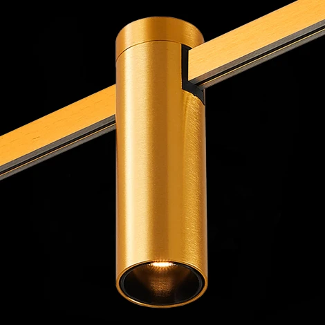 Магнитный трековый светильник ST Luce Farm ST810.206.05 Золотистый LED 1*5W (24V)