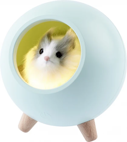 Ночник светодиодный с выключателем регулировкой яркости и зарядкой от USB ЭРА NLED-468-1W-GR