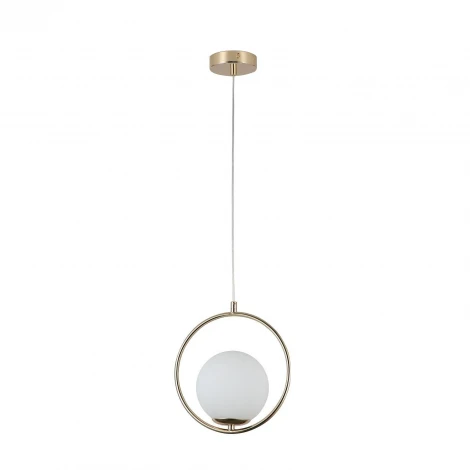 Подвесной светильник F-Promo Oportet 2786-1P (220V, на проводе, шар, кольцо)