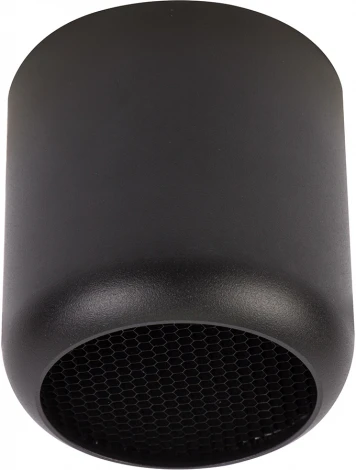 Светильник потолочный Feron HL365 Barrel ECHO 48400 чёрный, с антибликовой сеточкой (220V, круглые)