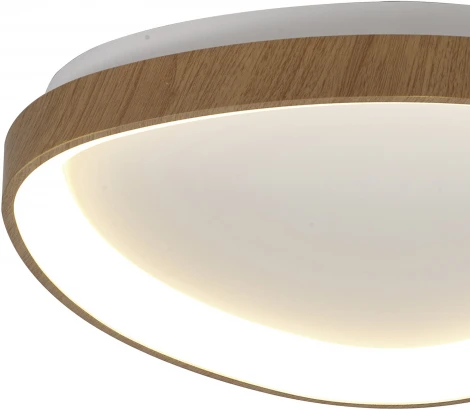 Потолочный светильник Mantra Niseko 8632 (регулировка яркости, LED, 220V, пульт управления)