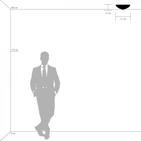 Потолочный светильник круглый Lightstar Zucche 820234 (220V)