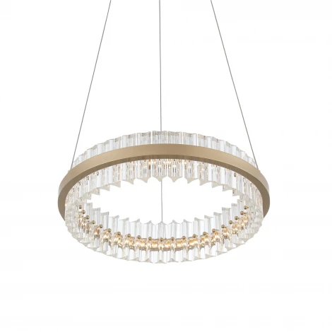 Подвесной светильник ST Luce Cherio SL383.203.01 (LED, 220V, на тросе)