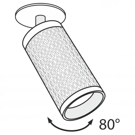 Встраиваемый точечный светильник Maytoni Alfa C037CL-01G