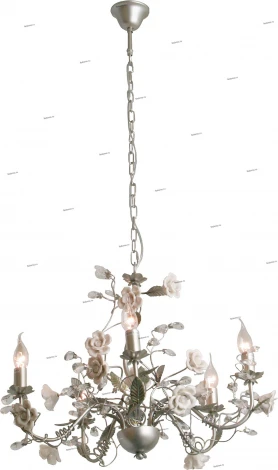 Snowlight 2600934/5P