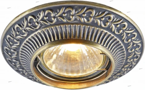 Встраиваемый точечный светильник Arte Lamp Occhio A5280PL-1AB (220V)