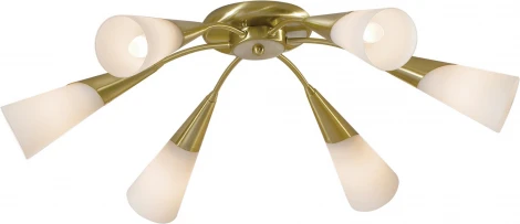 Потолочная люстра Citilux Fokus CL103162