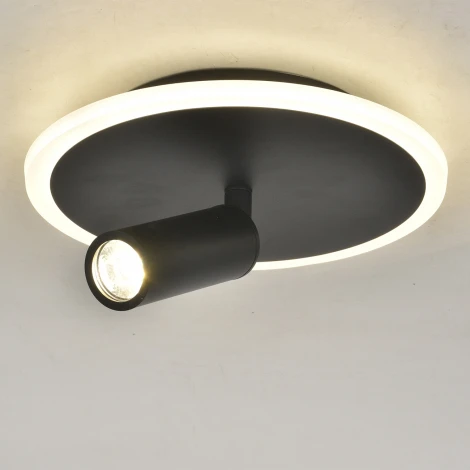 Настенно-потолочный светодиодный светильник 20046LED 20046SMA/01LED BK 20Вт, металл/акрил, черный (220V, круглые)