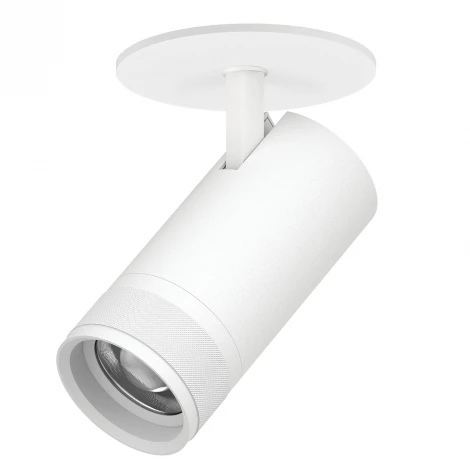 Спот встраиваемый 30W 2100LM 20-55G с адаптером Lightstar Canno Pro C4306RS