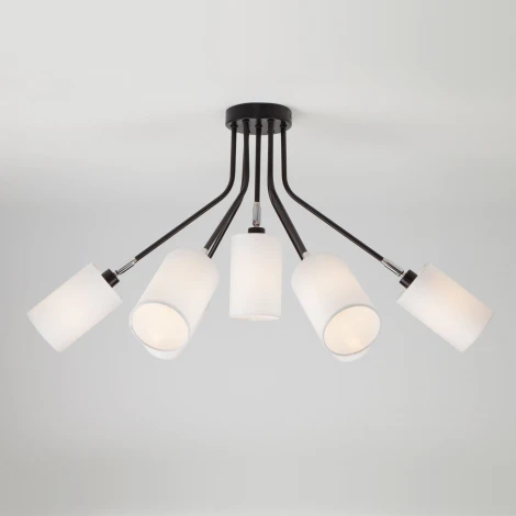 Потолочная люстра Eurosvet Duetto 70072/7 белый