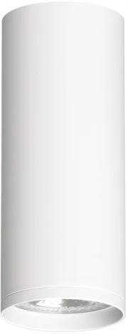 Накладной точечный светильник Denkirs DK2000 DK2051-WH (220V, круглые)