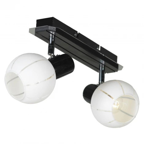 Спот Lussole Mara LSL-8901-02