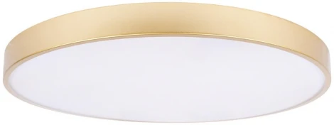 Потолочные светильники Loft It Flims 10228/B (LED, 220V, круглые)