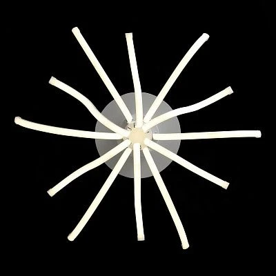 Потолочная люстра ST Luce Finde SL826.502.12