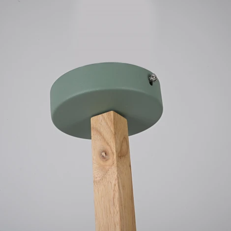 Потолочная люстра на штанге NOA 6 Mint ImperiumLoft Noa01 (183467-26)