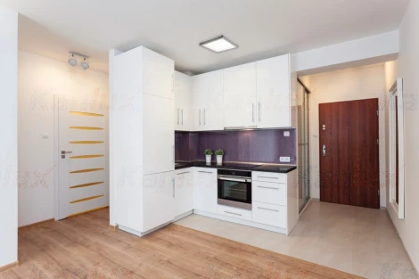 Потолочный светильник светодиодный Kanlux TYBIA 24646 (220V)