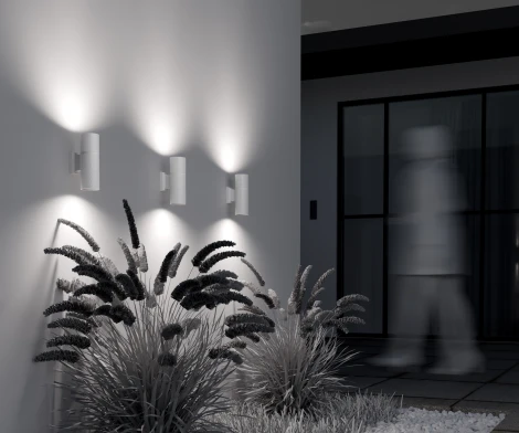 Настенный светильник уличный Maytoni Bowery O583WL-02W (220V, IP54)