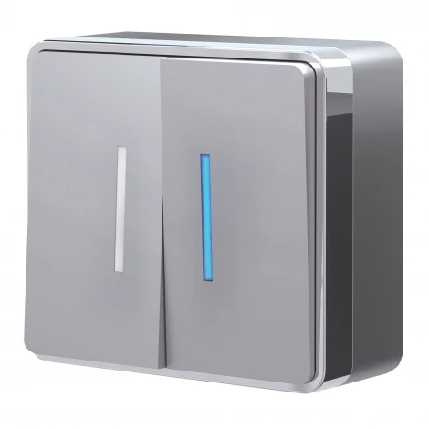 Выключатель двухклавишный с подсветкой Gallant (серебряный) Werkel W5020106 (a052770)