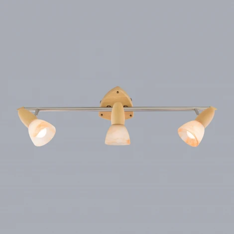 Спот Citilux Монте CL505531