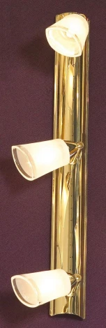 Настенно-потолочный светильник Lussole Rasen LSL-5001-03