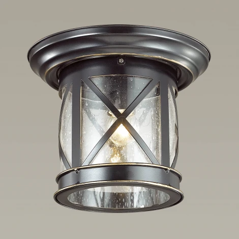 Потолочный светильник уличный Odeon Light Sation 4045/1C (220V, IP44)