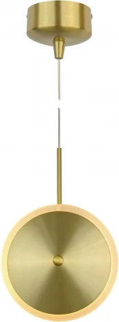 Подвесной светильник светодиодный на штанге AM Group AM8487 AM8487-200 (220V, на проводе, круглые)