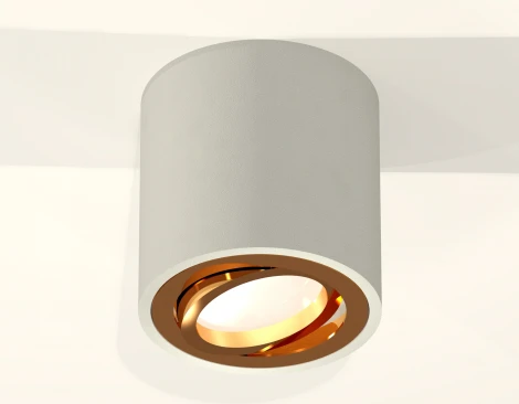 Накладной точечный светильник Ambrella Techno Spot XS7533004 (220V, круглые)