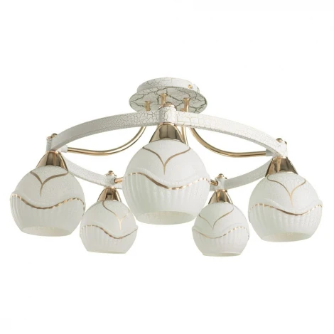 Потолочная люстра Arte Lamp Selection A6173PL-5WG