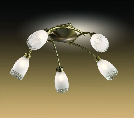 Потолочная люстра Odeon Light Lerta 1803/5C