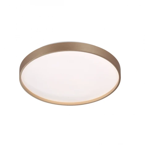 Настенно-потолочный светильник Sonex Gaby 7783/DL пластик/белый/золото LED 48Вт пульт ДУ