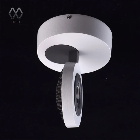 Спот карданный MW-Light Астор 545020801 (LED, 220V, круглые)