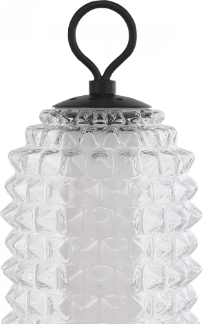 Настольная лампа ST Luce Saguaro SL6144.404.01 черный/прозрачный LED 1*12W 4000K (220V)