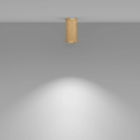 Накладной потолочный светильник Focus Design GU10 1x50Вт Maytoni Technical C036CL-01G (220V, круглые)