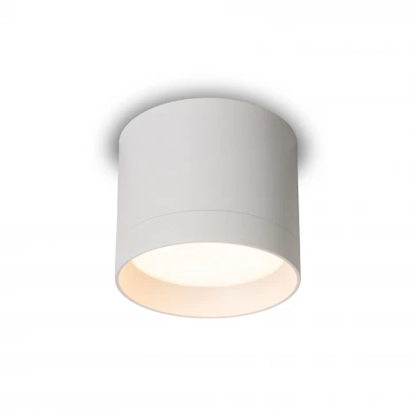 Потолочный светильник Nuvolt Bein LDL-005W