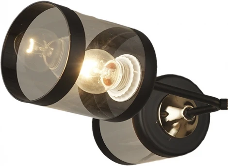 Потолочная люстра на штанге Reluce 03592-0.3-04 FGD+BK (220V)