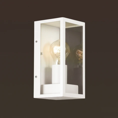 Настенный светильник уличный Odeon Light Argos 4166/1W