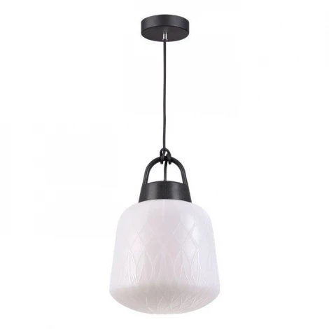 Уличный светильник подвесной Novotech Conte 370601 (220V, на проводе, IP44)