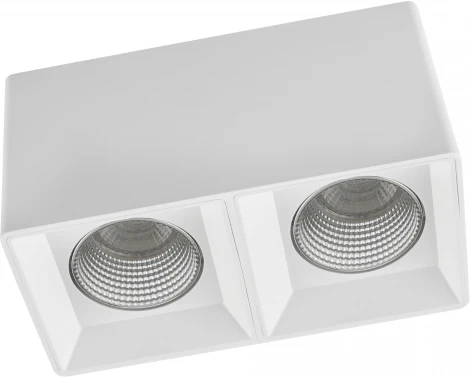 Накладной точечный светильник Denkirs DK3030 DK3085-WH+CH