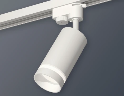 Трековый светильник Ambrella Track System XT6322110 (220V, круглые)