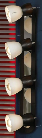 Настенно-потолочный светильник Lussole Messina LSL-8209-04