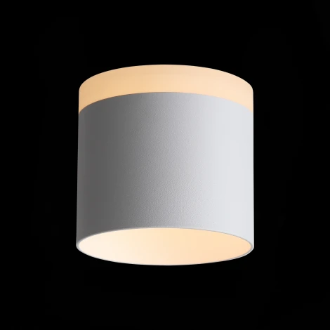 Накладной точечный светильник ST Luce Panaggio ST102.502.12 (LED, 220V, круглые)