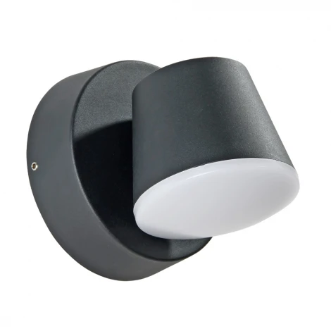 Настенный светильник уличный Arte Lamp Chico A2212AL-1BK
