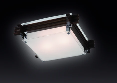 Настенно-потолочный светильник Sonex Trial Vengue 2241V